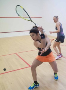 Fernandes v Massaro 3