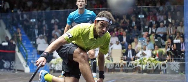 Mohamed Elshorbagy grabs back world No.1 ranking